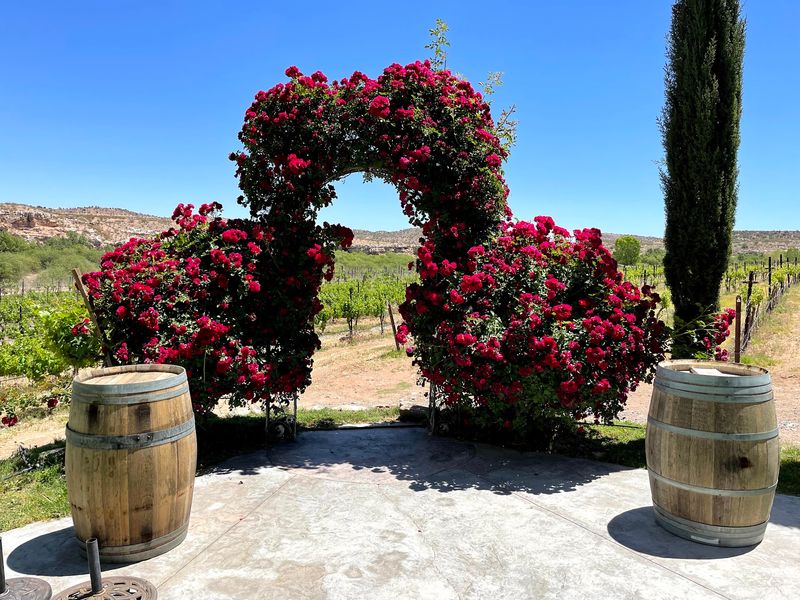 Weddings and Special Events With a Breathtaking Backdrop Weddings and Special Events With a Breathtaking Backdrop