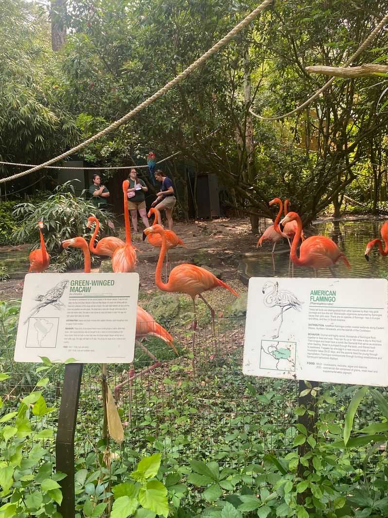 Weekend Animal Interactions and Free Shows Weekend Animal Interactions and Free Shows