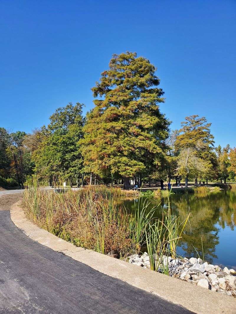 Well-Maintained Walking Paths Through Beautiful Scenery Well-Maintained Walking Paths Through Beautiful Scenery