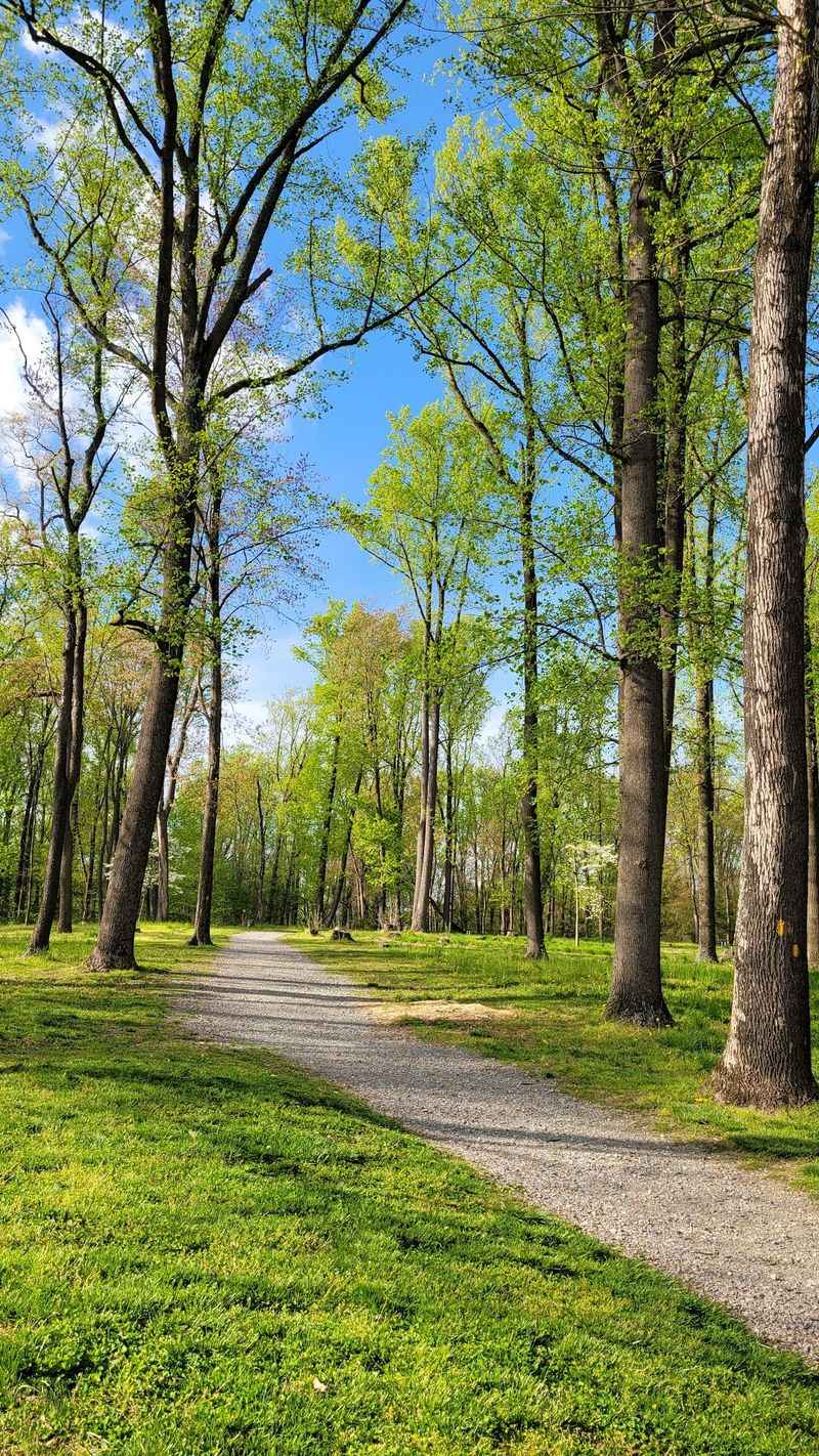 Well-Marked Hiking Trails for Every Skill Level Well-Marked Hiking Trails for Every Skill Level
