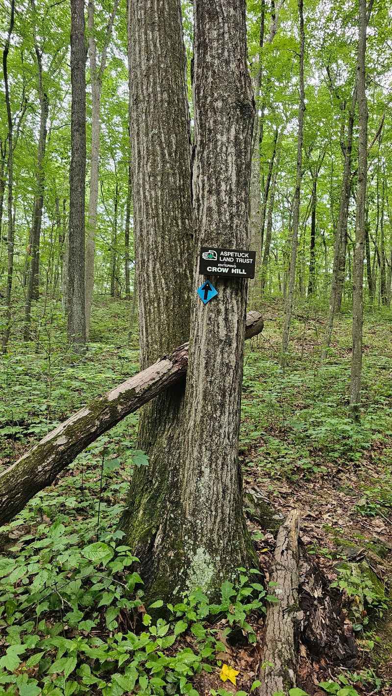 Well-Marked Trails That Make Navigation Easy for Beginners