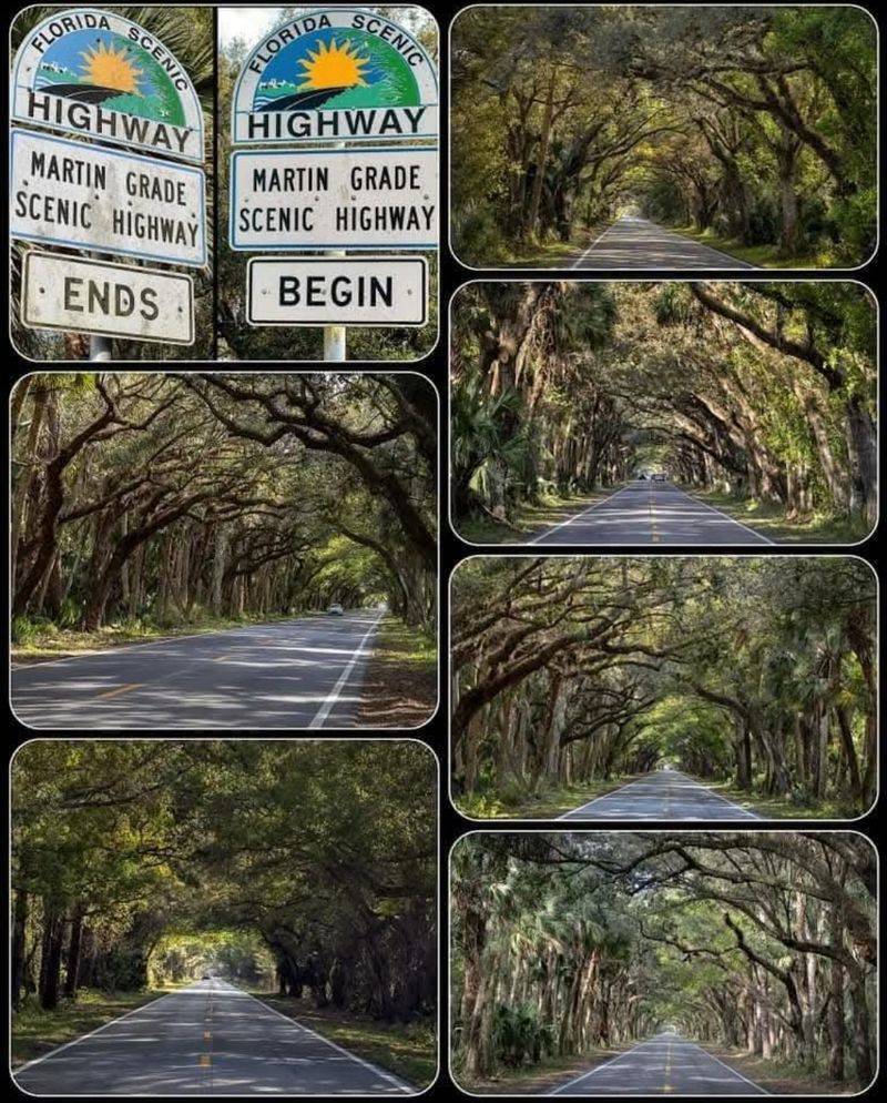What Makes Martin Grade Stand Out From Other Florida Roads What Makes Martin Grade Stand Out From Other Florida Roads