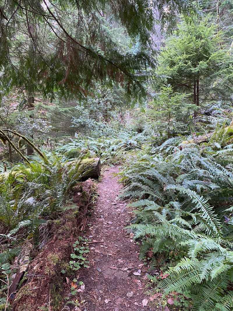 What The Hike Down Actually Feels Like What The Hike Down Actually Feels Like