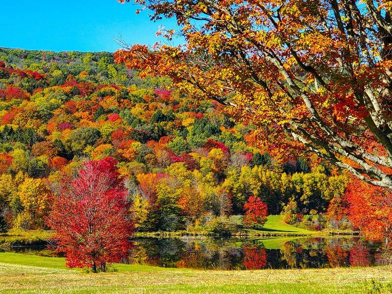 When The Hills Turn To Autumn Color
