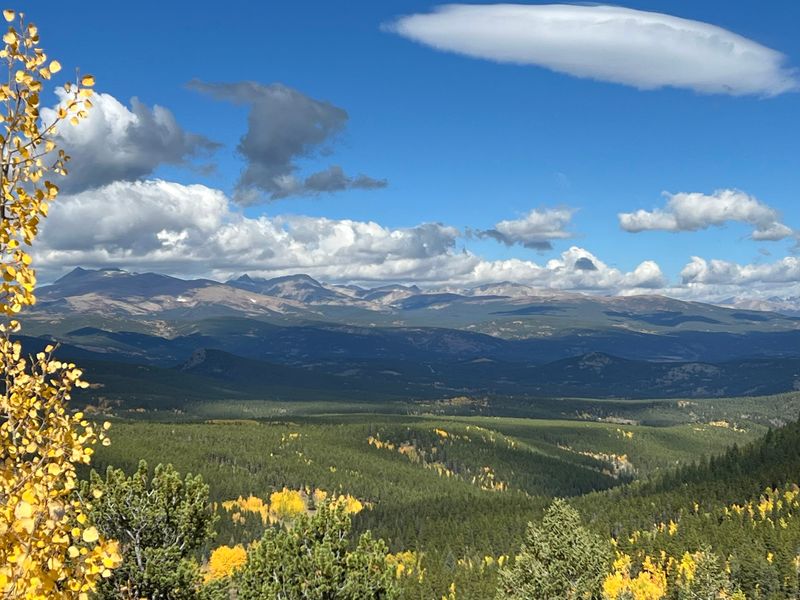 When the Aspens Turn to Gold When the Aspens Turn to Gold