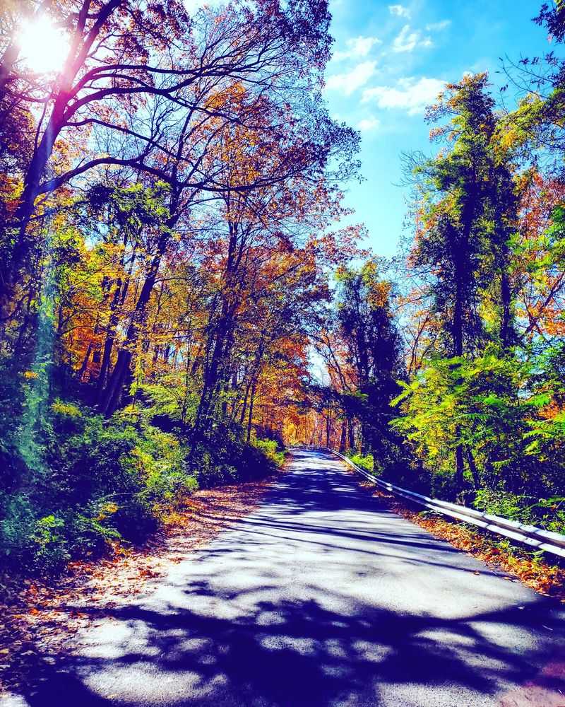 When the Fall Colors Take Over When the Fall Colors Take Over