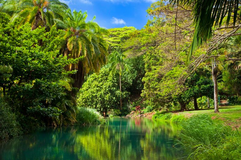 Where Kauai Hides Its Green Treasure Where Kauai Hides Its Green Treasure