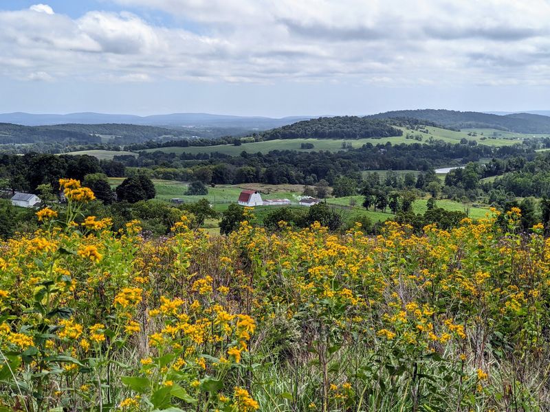 Where Meadows Meet the Blue Ridge Where Meadows Meet the Blue Ridge