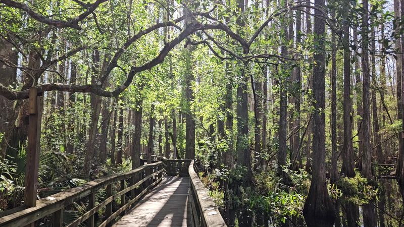 Where Old Florida Still Hides