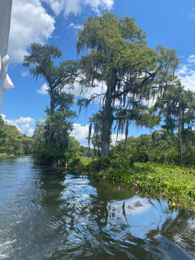 Where Old Florida Still Runs Deep