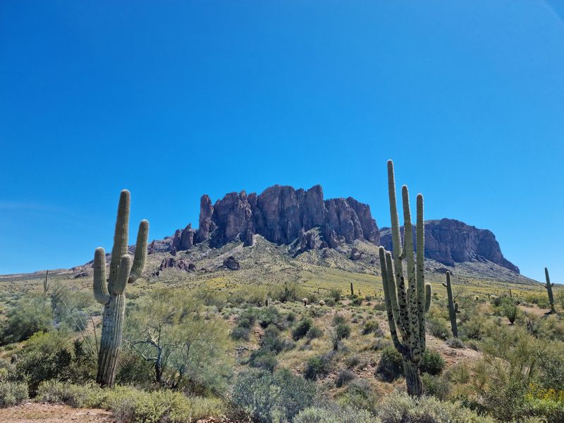 Where The Desert Meets The Superstitions