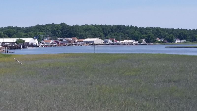 Where The Marsh Meets The Map