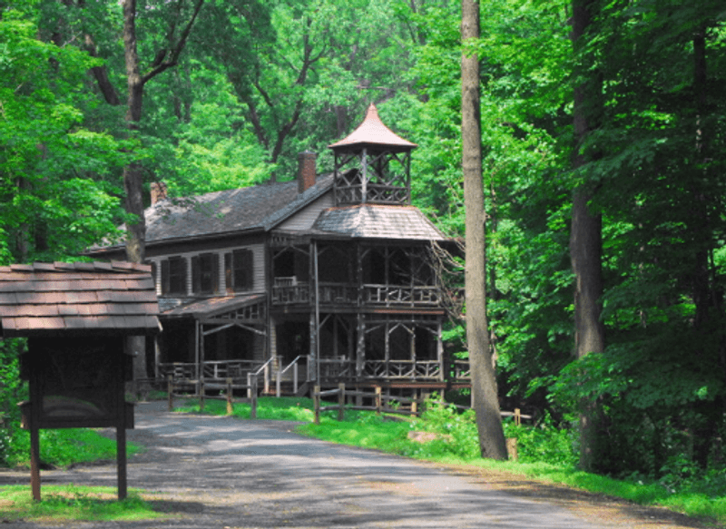 Where The Woods And The Village Meet