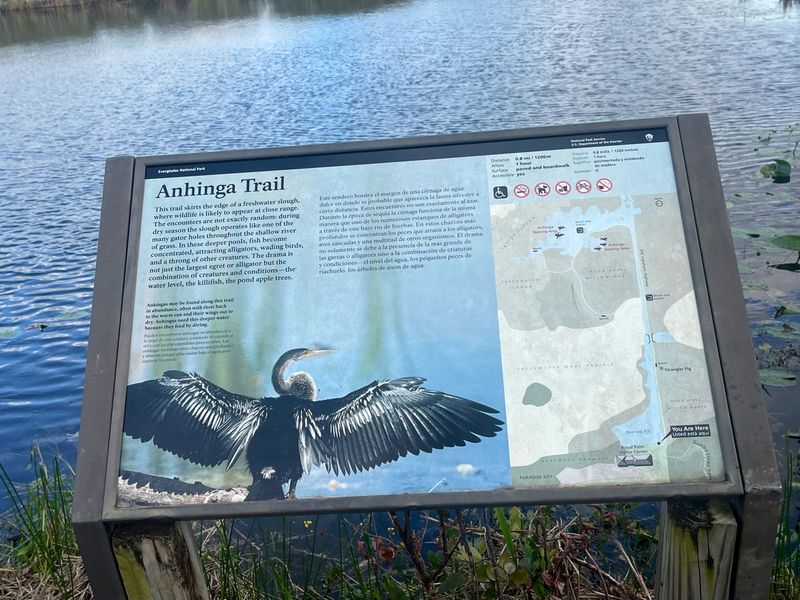 Where This Everglades Walkway Begins