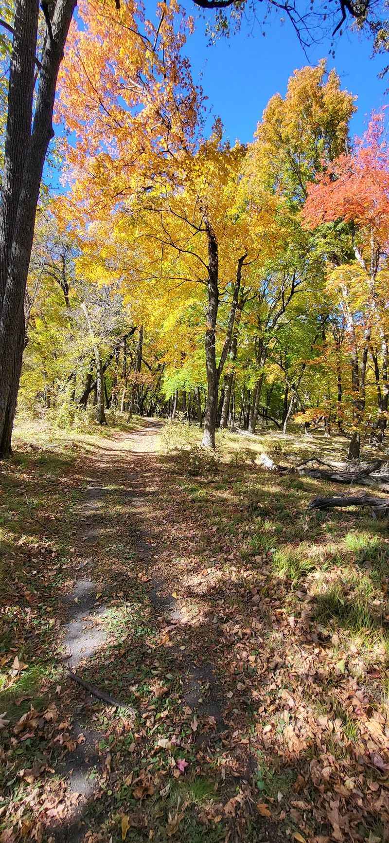 Where This Quiet Corner of Minnesota Sits Where This Quiet Corner of Minnesota Sits