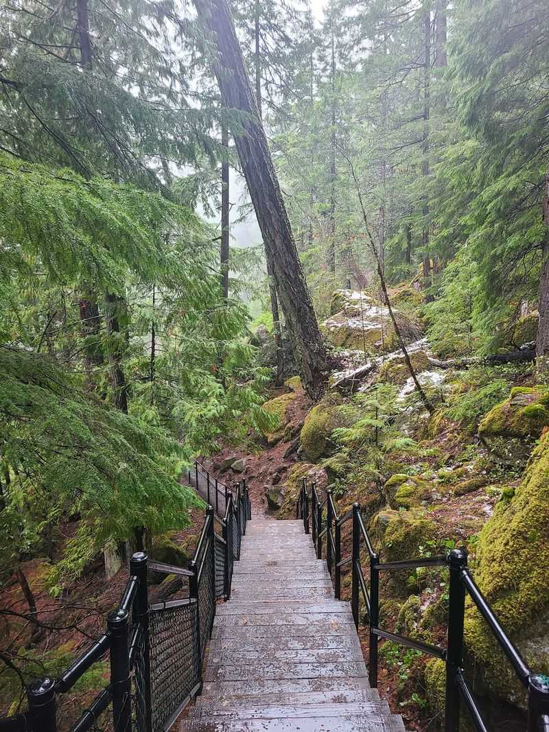 Where This Waterfall Trail Actually Begins