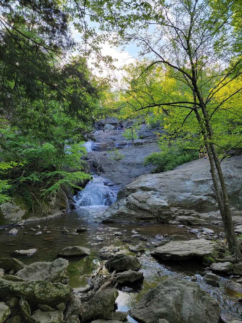 Where To Find The Falls
