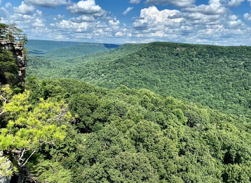 Where To Find This Cumberland Wilderness Where To Find This Cumberland Wilderness