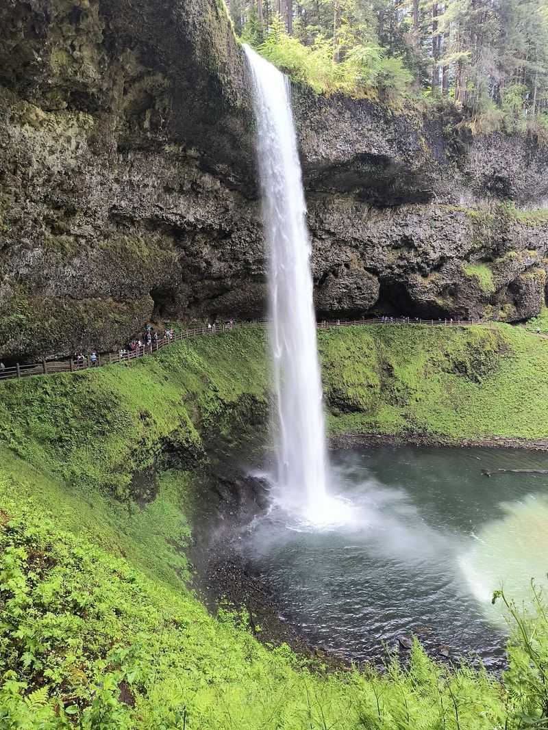 Where To Find This Forested Wonder