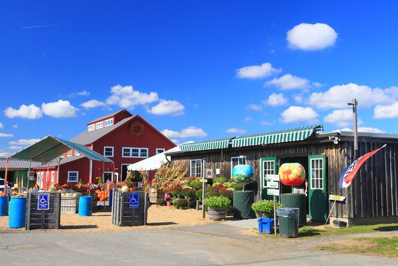 Where To Find This Harvard Farm