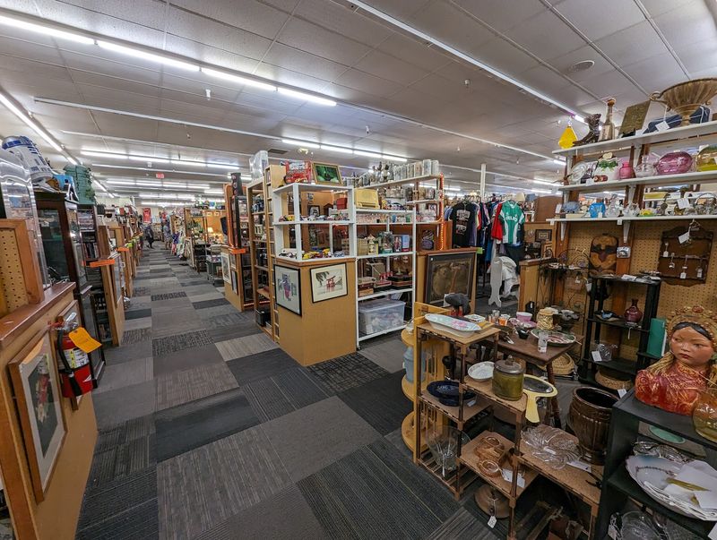 Where To Find This Massive Mesa Hunting Ground
