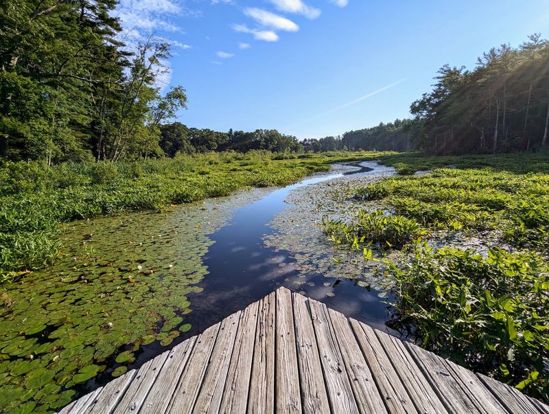 Where To Find This Quiet Refuge Where To Find This Quiet Refuge