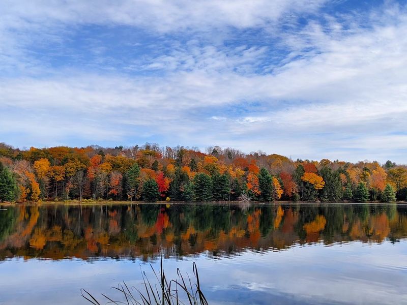 Where To Find This Quiet Woodland Escape