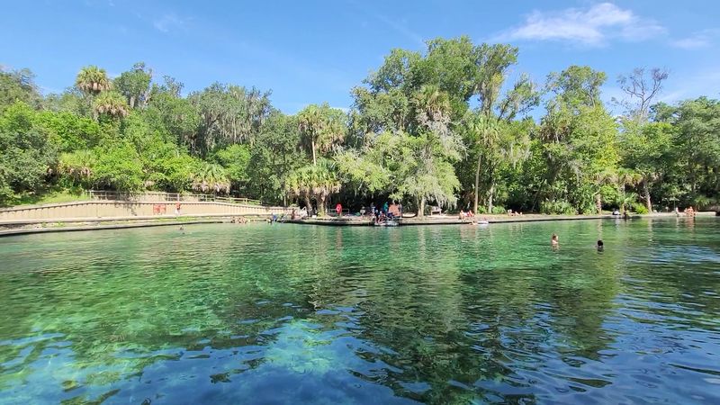 Where To Find This Spring North Of Orlando