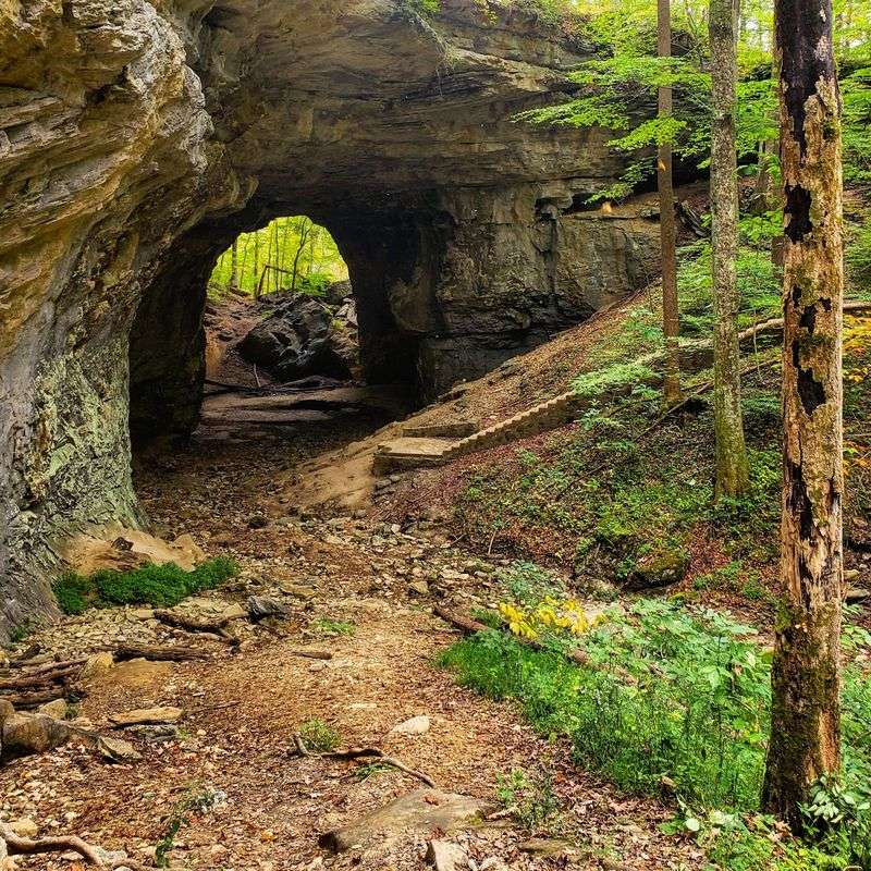 Where To Find This Wooded Retreat