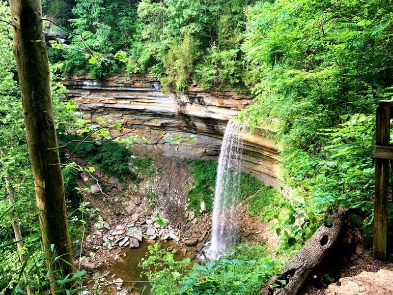 Where Water Meets the River Bluffs