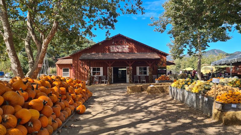 Where the Barn Sits on the Central Coast