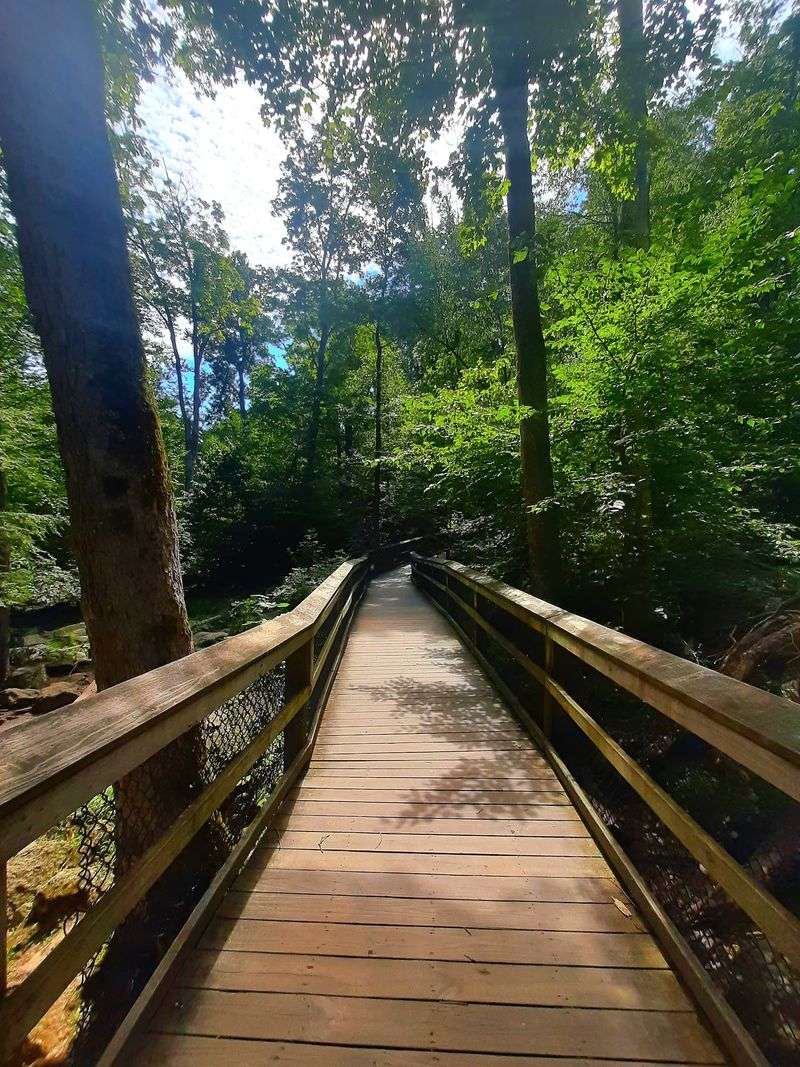 Where the Boardwalk Begins