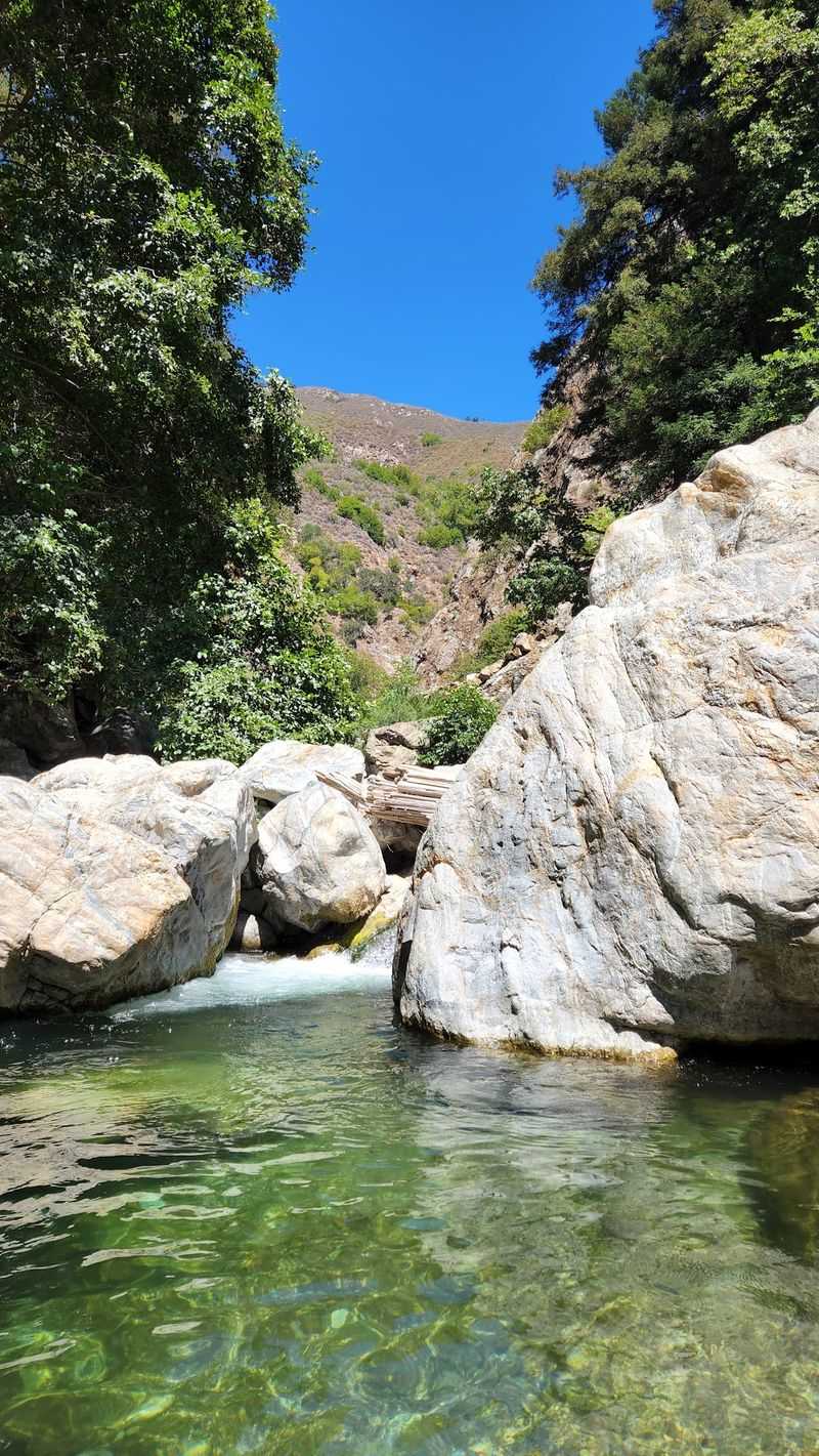 Where the Cold Pools Hide