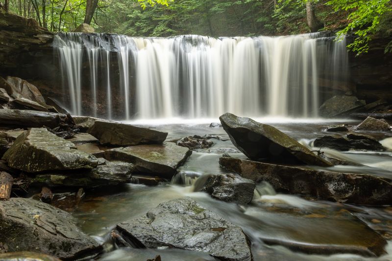 Where the Falling Water Lives