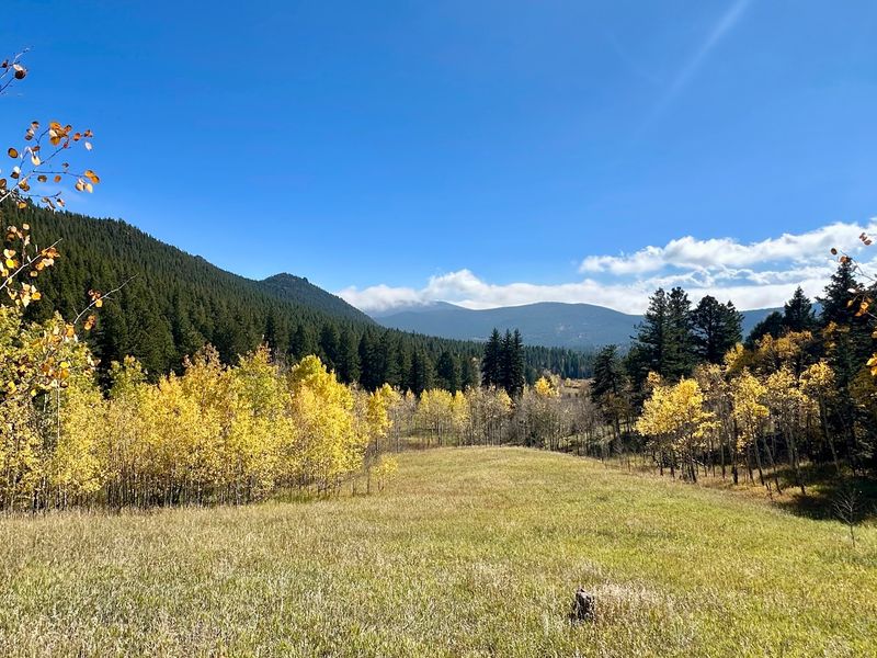 Where the Foothills Open Up