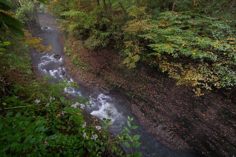 Where the Gorge Meets the Map