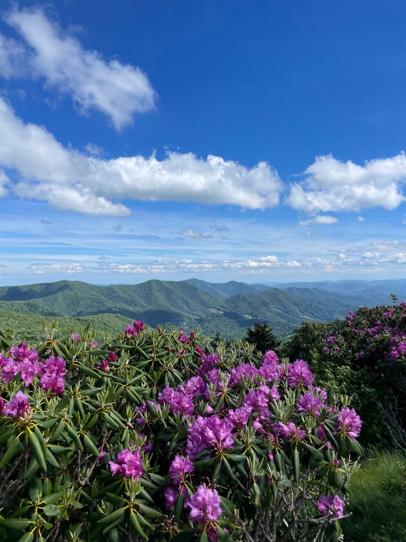 Where the Mountain Meets Tennessee