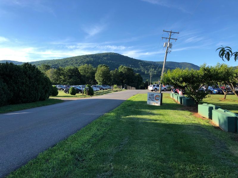 Where the Orchard Sits in the Blue Ridge Foothills