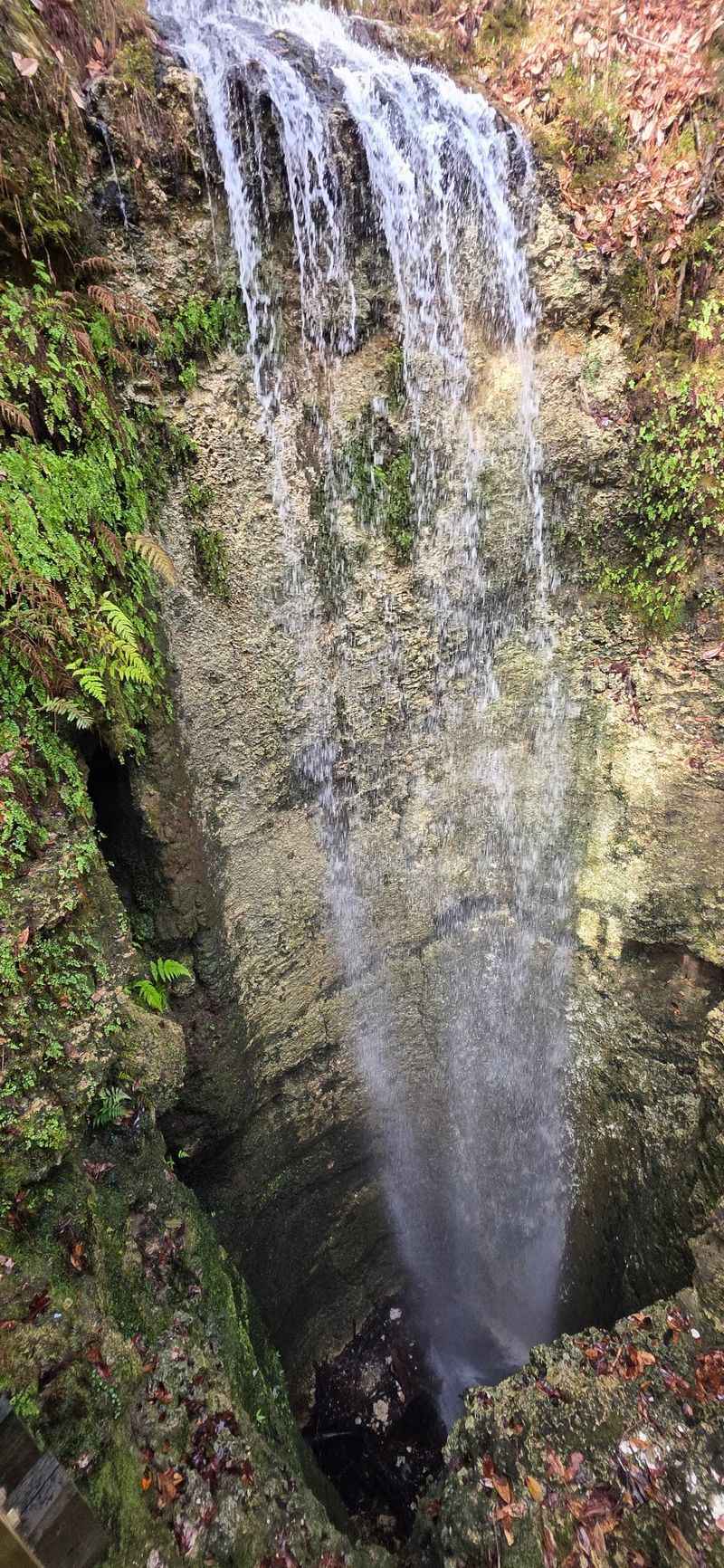 Where the Panhandle Keeps Its Best-Kept Secret Where the Panhandle Keeps Its Best-Kept Secret