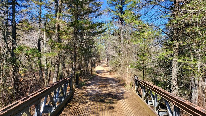Where the Pine Barrens Tell Their Story