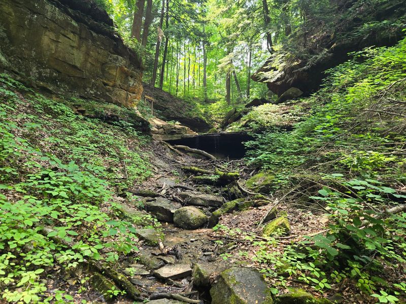 Where the Ravines Begin