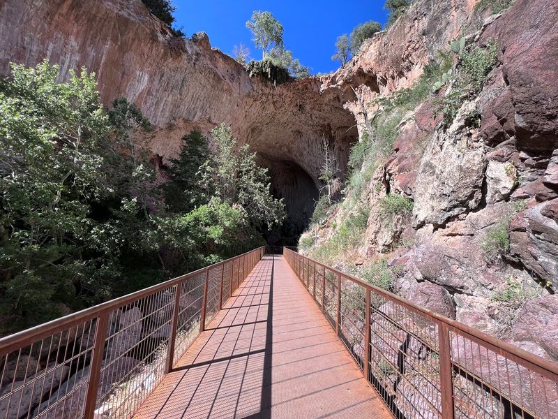Where the Trail Begins in Pine