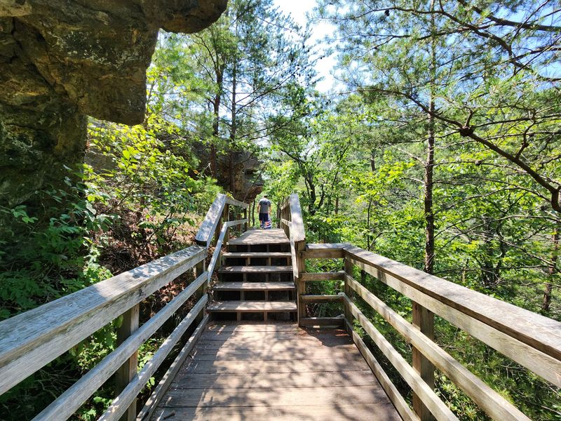 Where the Trail Begins in Walnut Cove