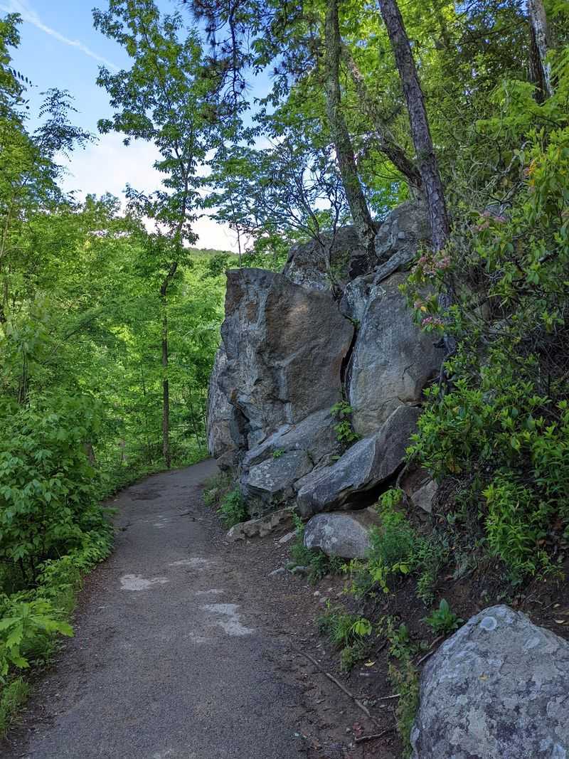 Where the Trail Begins in the Smokies