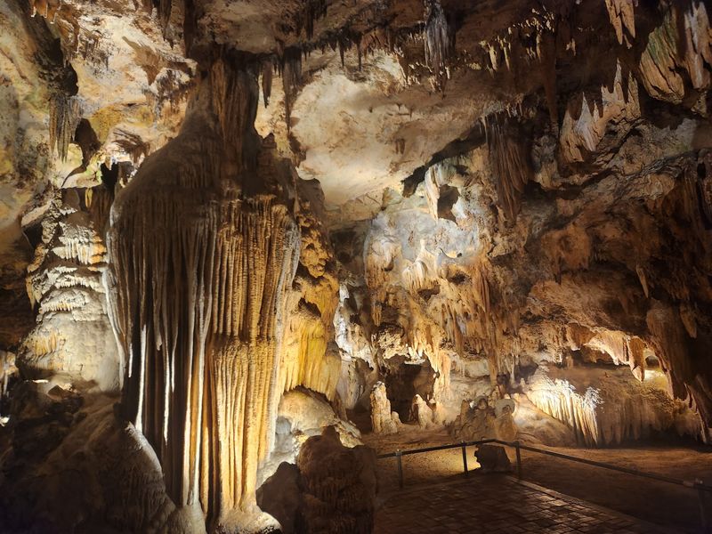 Where the Underground Wonder Hides