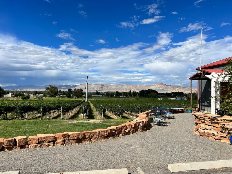 Whitewater Hill Vineyards, Grand Junction, Colorado