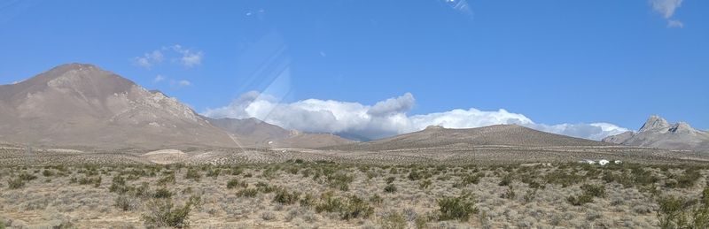Who Thrives in the High Desert Who Thrives in the High Desert
