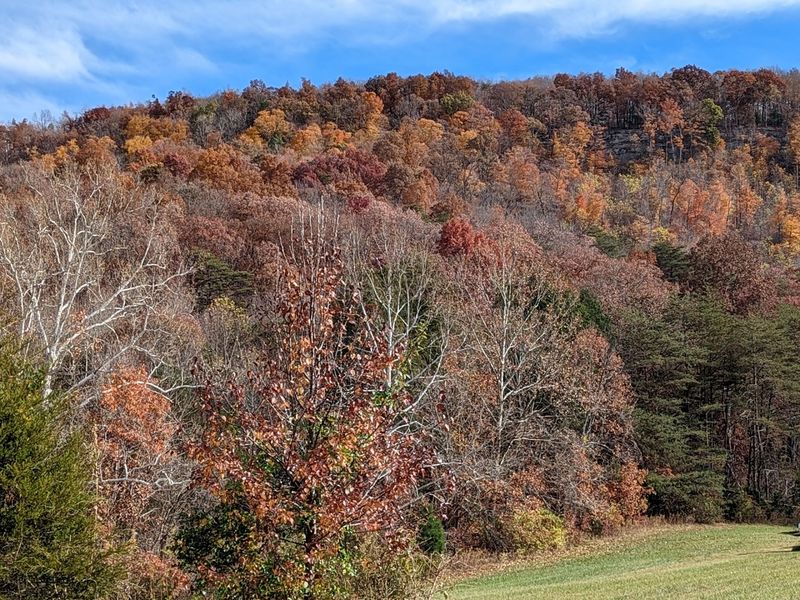 Why Berea Deserves A Spot On Your List