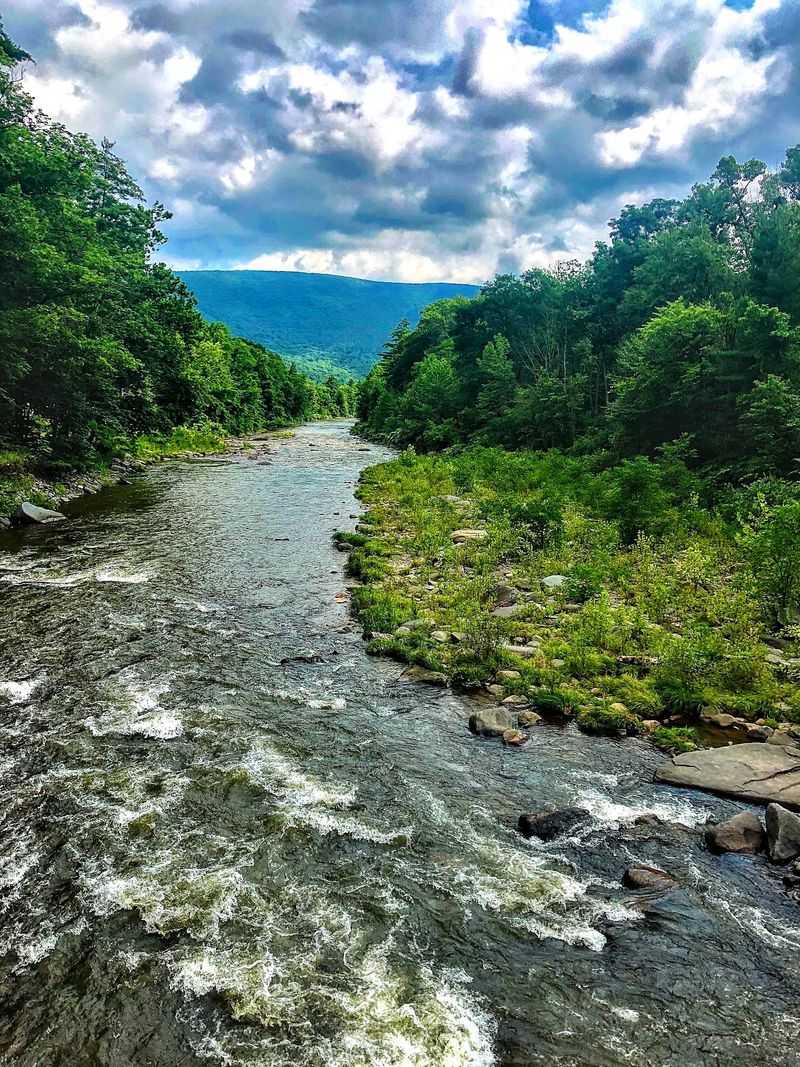 Why It Earns Its Place on the Summer List