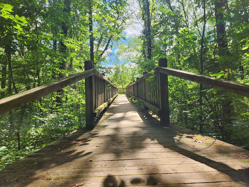 Why It Stays A Four-Season Favorite